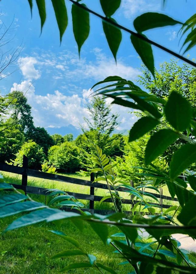 Villa Casuta Boema Rîşnov Esterno foto