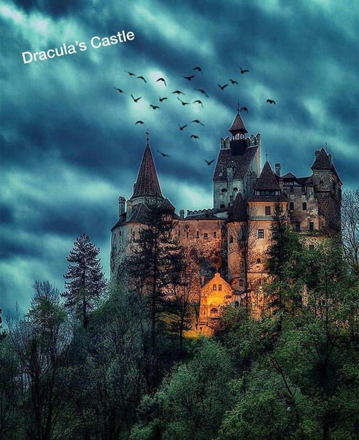 Villa Casuta Boema Rîşnov Esterno foto